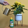 Pokon Bloeiende Planten Voeding Vloeibaar sfeer
